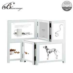 tHgt[ AVANTI zCg bsO bZ[WJ[h ނP[L₨ԂƓ\ hi Vo[ oYj j̎q ̎q MA63-60-WH