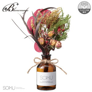 CeAt[ Bottle B[iX {bNX SOMU SU00023 \[~[ U[uht[ hCt[  Mtg {^jJ i`