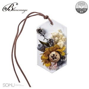 CeAt[ bisque NE {bNX SOMU SU00020 \[~[ U[uht[ hCt[  Mtg {^jJ i`