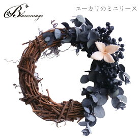 リース ユーカリのシンプルリース mini ミニ リース ウェディング 花 玄関 リビング ブライダル インテリア 結婚 祝い 簡易ラッピング無料