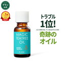 【BLANC公式】マジックティーツリーオイル 20ml 肌トラブル 肌荒れ 体トラブル スキンケア 鎮静 美容液 敏感肌 マスク 吹き出物 韓国コスメ 色素沈着 フェイスオイル ブツブツ 高品質 男女共用