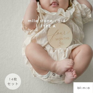 y|Cg2{zyr[Tzblanco }CXg[J[h 14Zbg J[h }X[J[h }CXg[ L^ j[{[tHg xr[ ؐ }^jeBtHg 