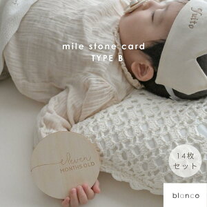 y|Cg2{zyr[Tzblanco }CXg[J[h 14Zbg J[h }X[J[h }CXg[ L^ j[{[tHg xr[ }X[ ؐ }^je