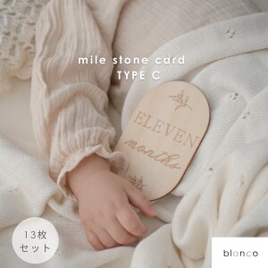 y|Cg2{zyr[Tzblanco }CXg[J[h 14Zbg J[h }X[J[h L^ j[{[tHg }X[ ؐ }^jeBtHg 킢 