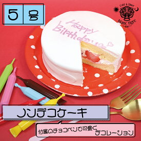 【 チョコペン ケーキ 5号 】誕生日ケーキ スイーツギフト 送料無料 可愛い 子供 あす楽 誕生日プレゼント バースデーケーキ お祝い お返し 冷凍ケーキ スイーツ 面白い 即日 インスタ ショート チョコレート 落書きケーキ お絵描き