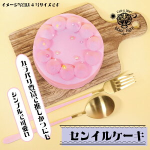 y  ZCP[L z 3 4 5 6 q aP[L XC[cMtg   ̎q y av[g o[Xf[ J[ XC[c  킢 z[