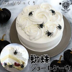 lC w偃P[L 4 5 6 aP[L P[L َq  т肨΂ l q FB y Cxg  nEB Mtg  qǂ  Hו X^[ 