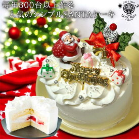 【毎年人気】シンプルサンタ クリスマスケーキ 4号 5号 6号 ショートケーキ 可愛い 冬 ギフト 子供 誕生日ケーキ プレゼント 子供 冷凍ケーキ ケーキ予約 可愛いケーキ クリスマス ケーキ誕生日 クリスマスギフト 白いケーキ フルーツ