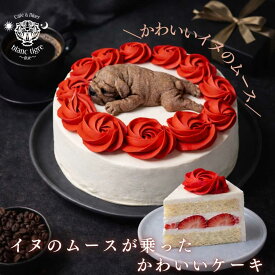 【リニューアル】 イヌショートケーキ 5号 誕生日ケーキ 子供 冷凍ケーキ 冷凍配送 送料込 バースデー 誕生日 スイーツ ギフト 大人 白い デコレーションケーキ 人気 可愛い お返し フルーツ ホールケーキ プレート 春ギフト ドック