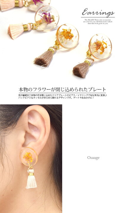 楽天市場】【550円福袋チケット対象】ピアス イヤリング ドライ 