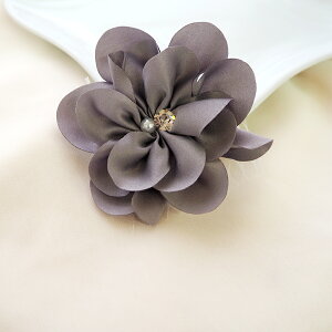 RT[W u[` L[g t[ S6 BLAZE ANZT[ fB[X IP[W w Ǝ  񎟉 p[eB Ӊ tH[}  \  킢