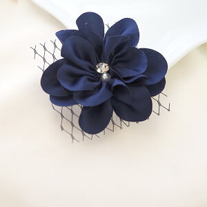 RT[W u[` L[g t[ S6 BLAZE ANZT[ fB[X IP[W w Ǝ  񎟉 p[eB Ӊ tH[}  \  킢