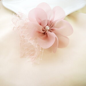 RT[W u[` L[g t[ S6 BLAZE ANZT[ fB[X IP[W w Ǝ  񎟉 p[eB Ӊ tH[}  \  킢