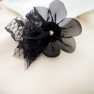 RT[W u[` L[g t[ S6 BLAZE ANZT[ fB[X IP[W w Ǝ  񎟉 p[eB Ӊ tH[}  \  킢