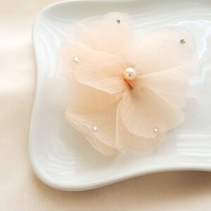 RT[W u[` GKg t[ S6 BLAZE ANZT[ fB[X IP[W w Ǝ  񎟉 p[eB Ӊ tH[}  \  Itz