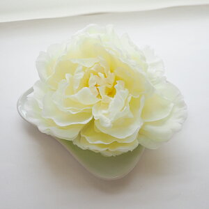 yz֔ẑ݁zt[ Nbv RT[W   傫 傫  wANbv wAANZT[ wAANZ ANZT[ s l Ǝ a a hX w Cx