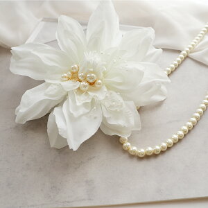 yz֑zRT[W lbNX Zbgu[` t[  ANZT[ IP[W w Ǝ  񎟉 p[eB Ӊ tH[}  Cxg T 