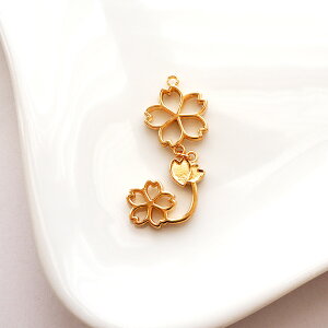 g  S[h S4 BLAZE pp Jt `[  ^ L[z_[ obO`[ ANZT[p[c  DIY f ޗ nhCh Ntg  