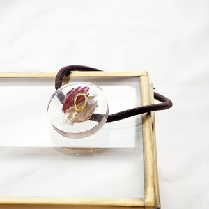 y550~܃`PbgΏہzwAS jAX W fB[X wAANZT[ ANZT[ wAANZ { Y i GKg l  킢  T[N v[