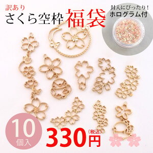 ��g ������ �󂠂蕟�� 10�� �Z�b�g �� �z���O���� �t�� ���W���g ���W�� UV���W�� LED���W�� �t���[�� �`���[�� �p�[�c �n���h���C�h ��| �L�[�z���_�[ �A�N�Z�T���[ �t �A�j�}�� �� �v���[