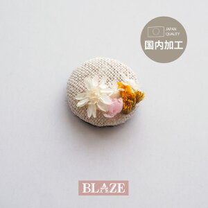 J{V ݃{^ t[ \tp[c ی^ BLAZE nhCh Ntg |  ANZT[ p[c pp\ ݃{^  f  ޗ fB[X  