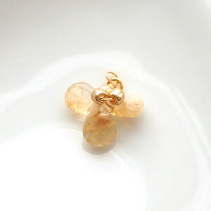 ANZT[ p[c `[ t[ KXr[Y  S[h Y { nhChp[c nhCh Ntg |  C[ C[`[  hbv ANZ