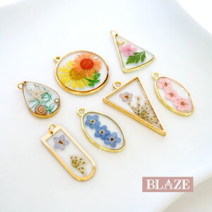 Jt `[ S[h t[ t[ Lk  hCt[ W Wp[c W`[ nhCh Ntg |  p[c ANZT[p[c nhCh