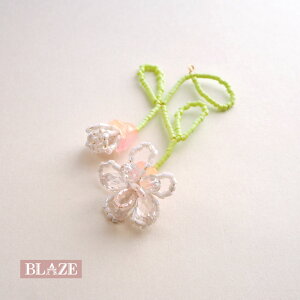 `[ ANZT[ p[c J t t[  r[Y nhCh Ntg  H | ANZT[p[c nhChp[c CO sAX L[z_[ fR[V