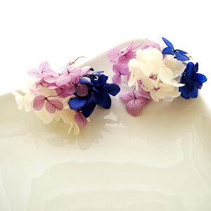 q770~܃`PbgΏہr sAX CO  vU[uht[ hCt[ ~bNXJ[ nhCh z AWTC ANZT[ fB[X 킢  