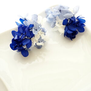 q770~܃`PbgΏہr sAX CO  vU[uht[ hCt[ ~bNXJ[ nhCh z AWTC ANZT[ fB[X 킢  