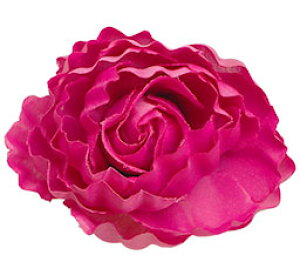 yz֔zz  t[ Nbv _A o  [Y KN  wAANZ wAANZT[ ANZT[ RT[W wANbv 傫 傫    a 