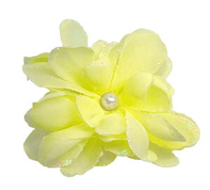   t[ Nbv L[g  wAANZ wANbv wAANZT[ RT[W  傫  q LbY qǂ l a a U  l Ǝ w O