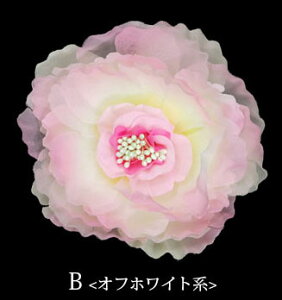   t[Nbv |s[ЂȂ BLAZE wAANZT[ wAANZ   a a  U l 䂩 Cxg t_X _X wbhhX ߑ 傫 傫 