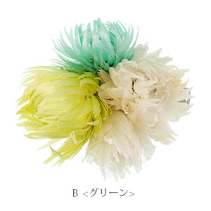 q770~܃`PbgΏہr  vU[uht[ wANbv l ߔ   ؂₩ wAANZ wAANZT[ Y { hCt[ v[g Ae