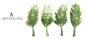  t[ p[c ~bNXJ[ [t 4Zbg BLAZE pp\ nhCh Ntg |   f ޗ  AW CN ANZT[ p[c CeA 