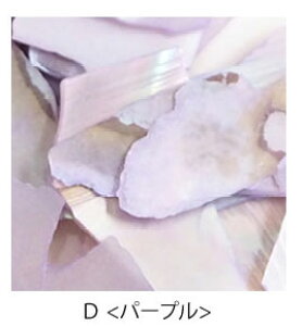 p[c lCp[c NbV VF pXe 2g BLAZE pp\ nhCh Ntg |  f ޗ   쐻  fR[V ANZT[ W UV