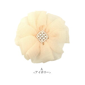 y550~܃`PbgΏہzRT[W u[` I[KW[ t[  p[ rW[ Nbvt 2WAY BLAZE ANZT[ wAANZT[ fB[X IP[W w 