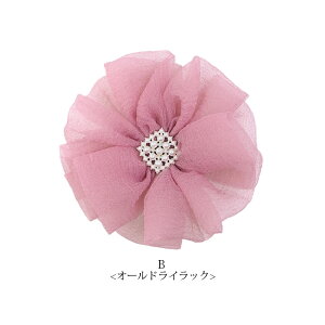 y550~܃`PbgΏہzRT[W u[` I[KW[ t[  p[ rW[ Nbvt 2WAY BLAZE ANZT[ wAANZT[ fB[X IP[W w 