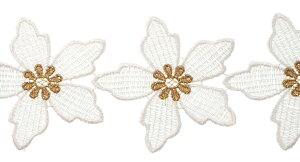 y50cmJbgz P~J[X rbOt[ Z^[S[h hJ BLAZE nhCh Ntg pp\ [X |        CeA { e[v t