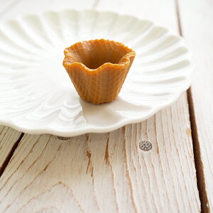 fRp[c btR[ ACXN[ R[ Jbv fR p[c XC[c nhCh ANZT[p[c  Ntg ACX َq fU[g fR[V ~j`A S