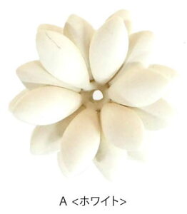 ^ t[  fUC BLAZE ^p[c nhCh pp\ Ntg |   f ޗ AW CN ANZT[p[c Vv  Vv sA