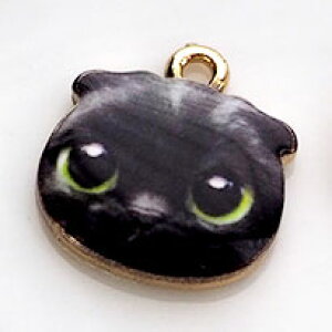 `[ ˂ J t  Ԃ牺 lR L p[c nhCh | ANZT[p[c Ntg  f ޗ `[tp[c Lbg Aj}  LN^[ 킢 