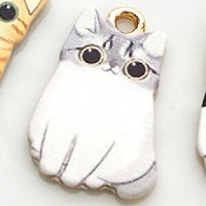 `[ ˂ J t S Sg lR L p[c nhCh | ANZT[p[c Ntg  f ޗ `[tp[c Lbg Aj}  LN^[ 킢 