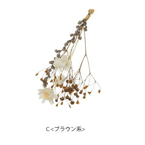 ^bZ p[c `[ vU[uht[ Jt BLAZE nhCh Ntg p[c pp\ |   f 쐻 쐻  ޗ AW Vv  l J