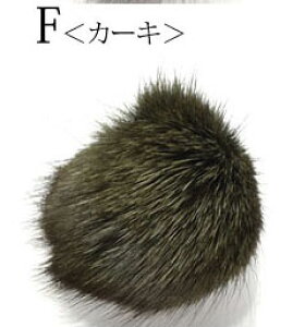 t@[ p[c 6cm ANZT[ ~ \t BLAZE pp\ nhCh Ntg |   f ޗ  AW CN ANZT[p[c Vv Dt \t