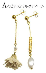 y550~܃`PbgΏہzsAX CO t[ ^bZ p[ BLAZE fB[X  EΏ lW |Xg l lۂ  킢 JWA i fC[ o