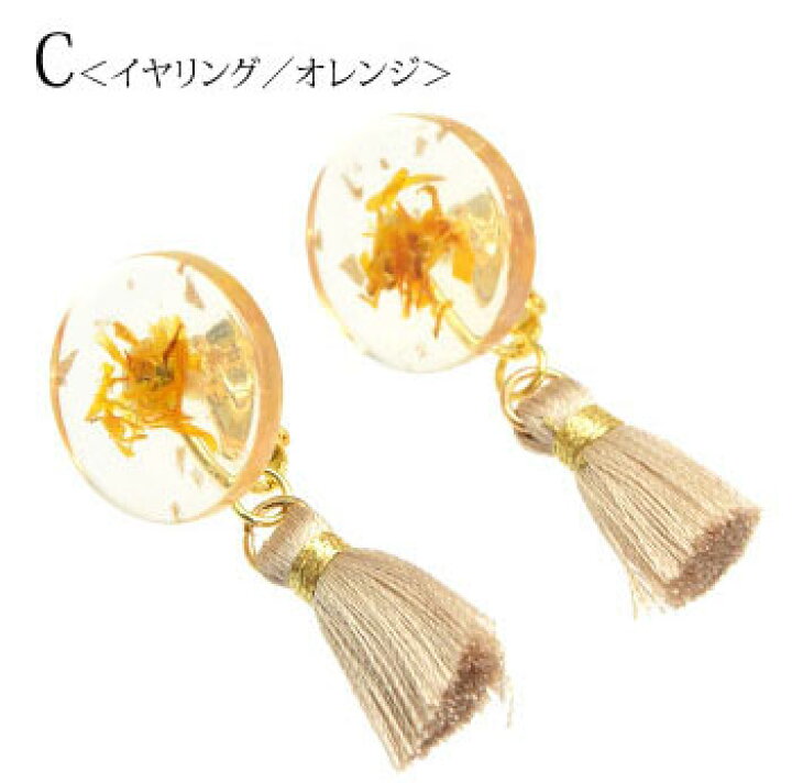 楽天市場】【550円福袋チケット対象】ピアス イヤリング ドライ 