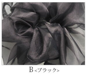 y550~܃`PbgΏہz{[ I[KW[VV BLAZE wAANZT[ wAANZ fB[X   ܂Ƃߔ  킢  Vv JWA wAA