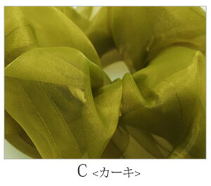 y550~܃`PbgΏہz{[ I[KW[VV BLAZE wAANZT[ wAANZ fB[X   ܂Ƃߔ  킢  Vv JWA wAA