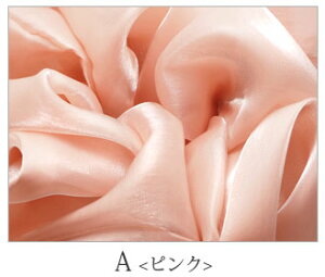 y550~܃`PbgΏہz{[ VV jAXJ[ BLAZE wAANZT[ wAANZ ܂Ƃߔ   킢  lۂ l 傫  fB[X J